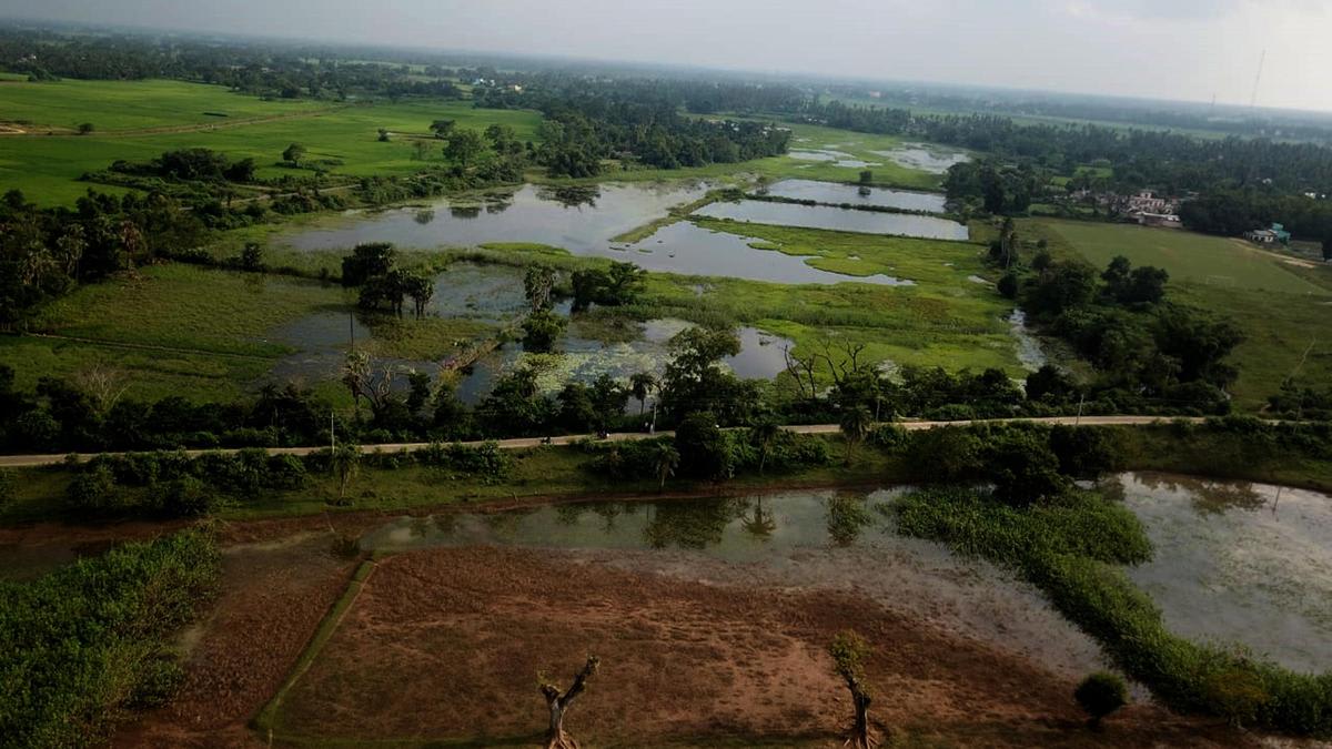 Odisha’s rural work does not have adequate photographic evidence, says a draft audit report