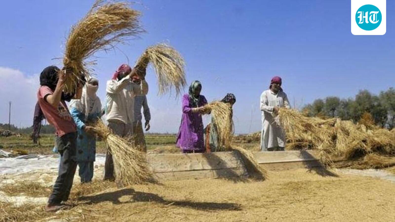 India’s farm yields rise, but China continues to produce twice as much grain