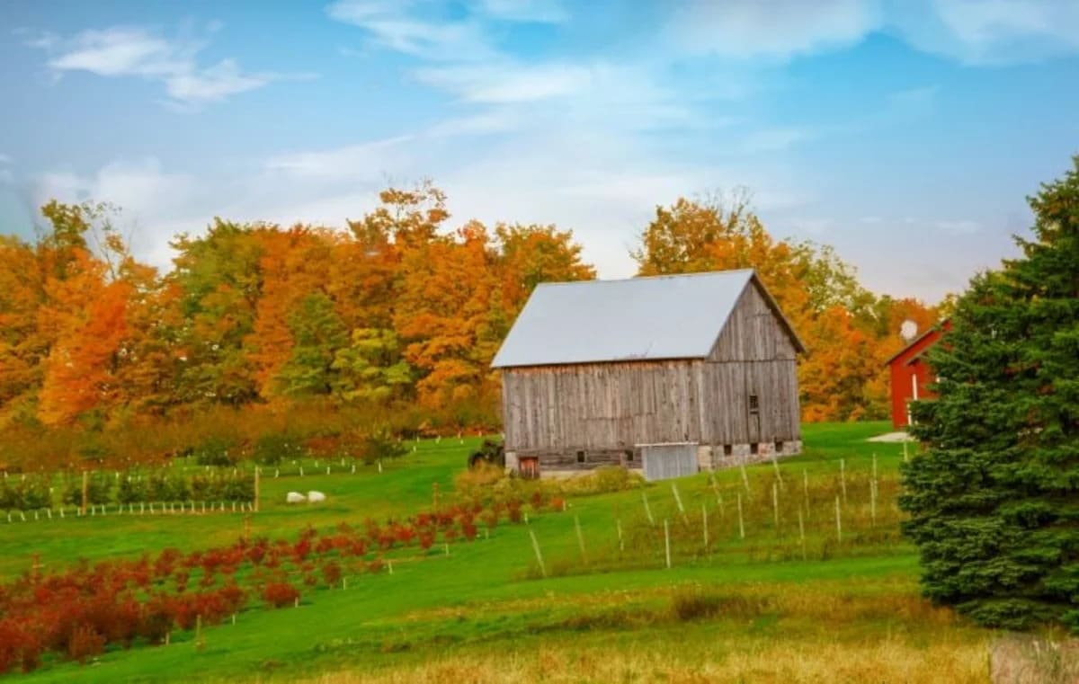 From Farmland to Fast Trading, ETFs Are Doing It All