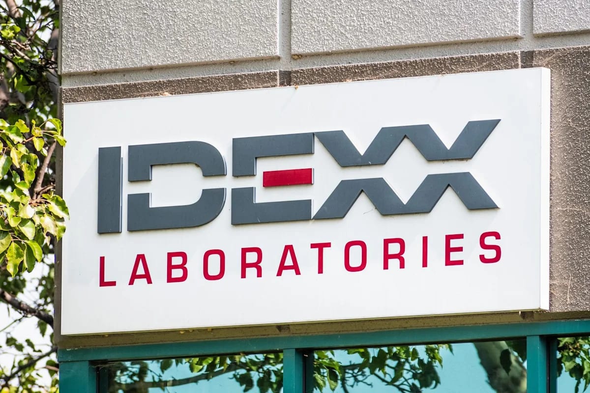 Is IDEXX Laboratories Stock Underperforming the Dow?