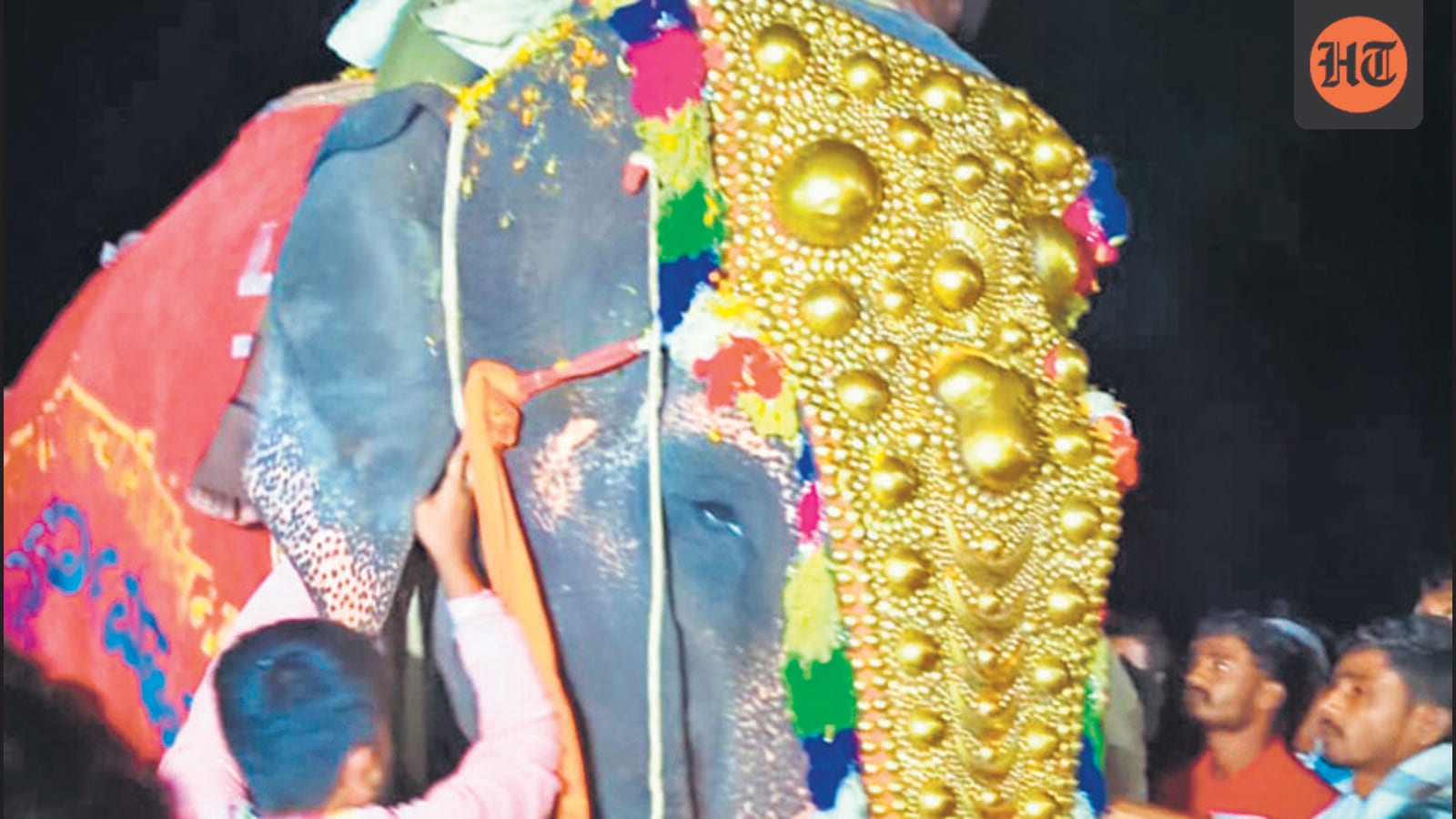 After year at Vantara, Madhuri returns home to Kolhapur