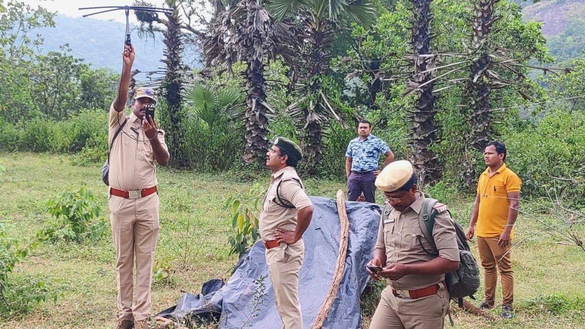 Male tiger, Explorer, attacks two buffaloes in Kakinada district