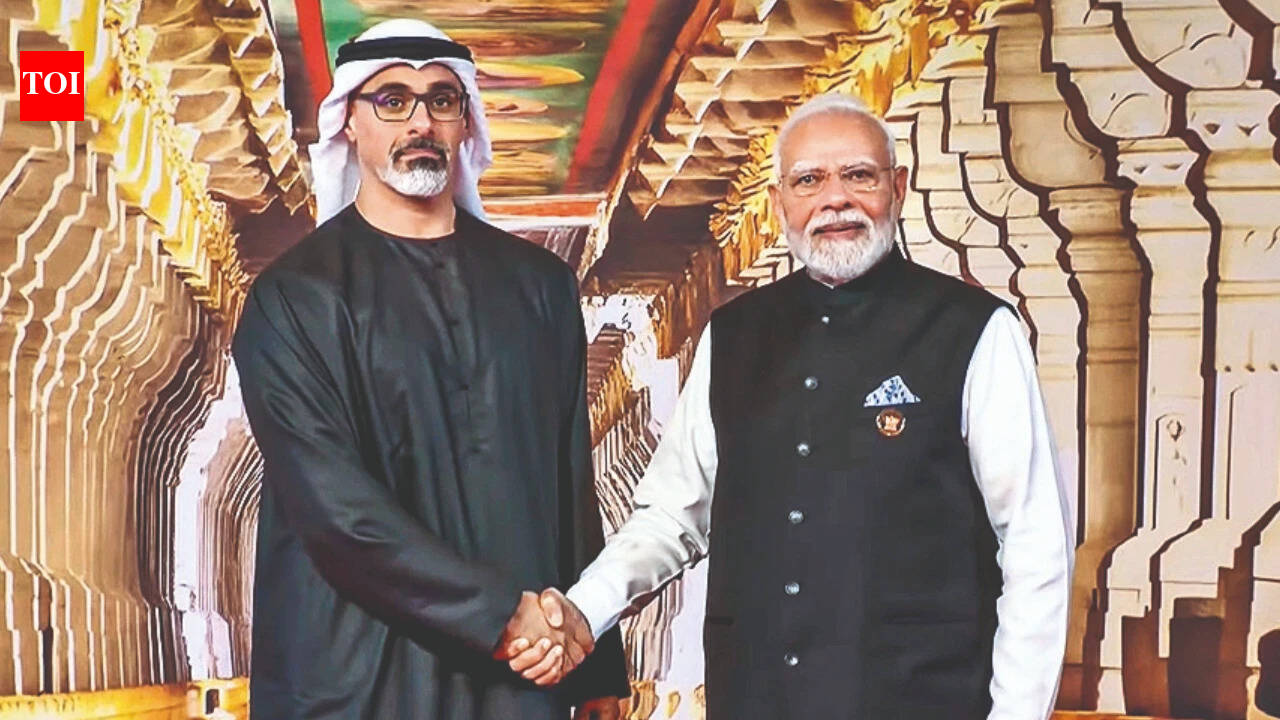 Brics Summit: India and UAE discuss boost to IMEC, energy infra