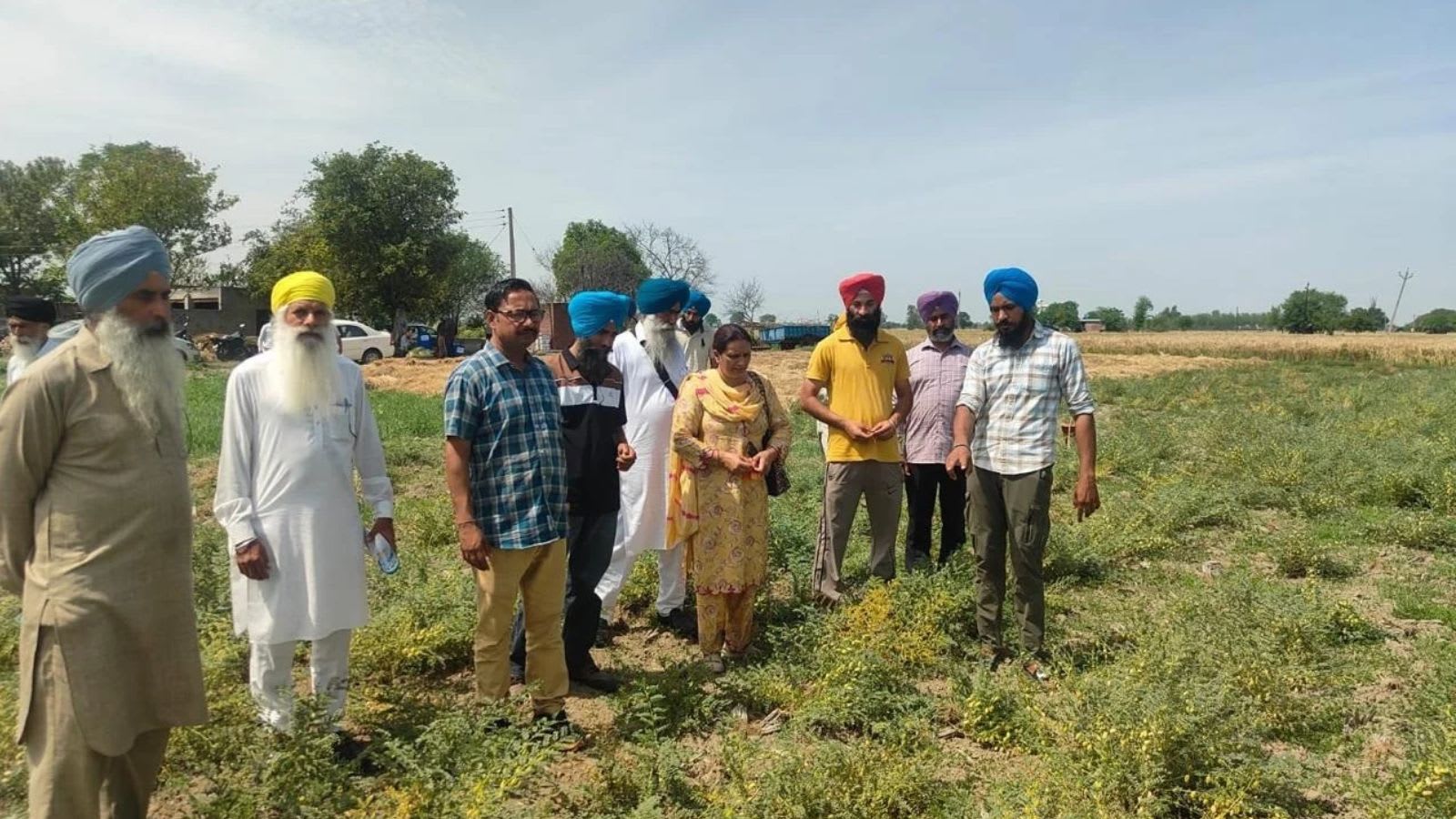 Five acres, diverse crops, 50 customers: How an Amritsar farmer built an organic business