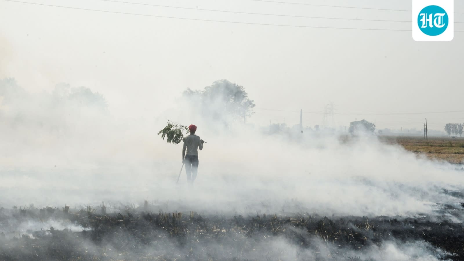 Madhya Pradesh leads farm fires with 354 incidents; Punjab at 2nd with 220