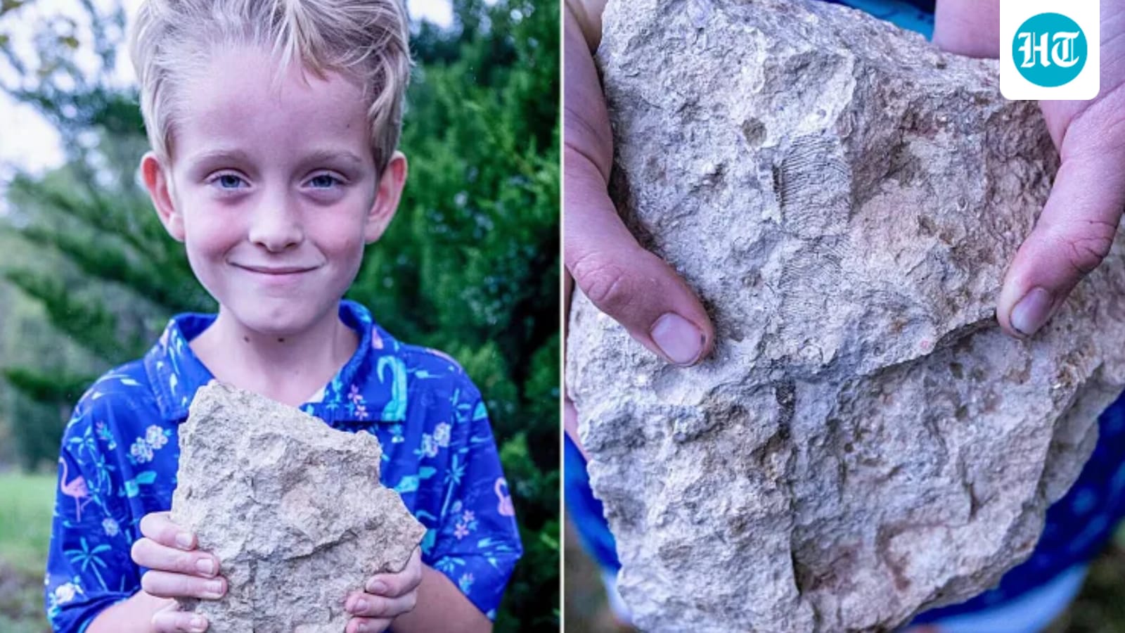 6-year-old discovers rare 200-million-year-old fossil of a jellyfish-like marine animal in Nebraska, US