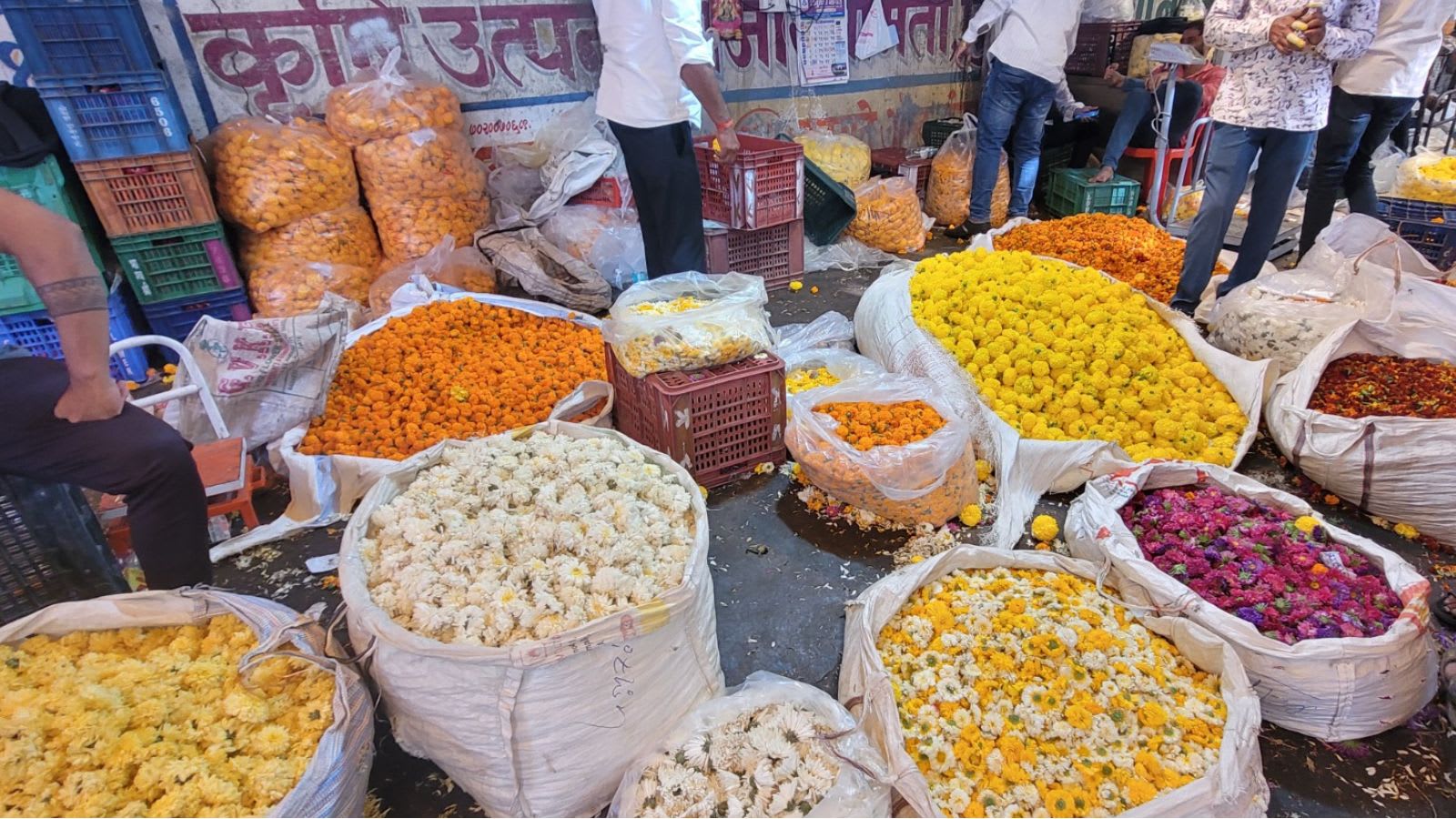 Flowers aplenty, profits scarce for farmers, traders ahead of Dussehra