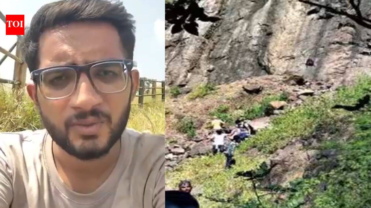 Gujarat man jumps off 1,700ft cliff, calls for domestic violence law changes in video