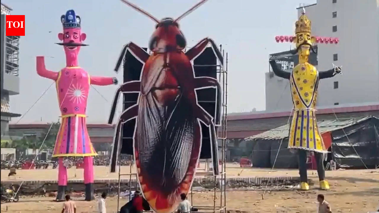 ‘Thank you for free publicity’: Dipke on cockroach effigy being burnt in Delhi