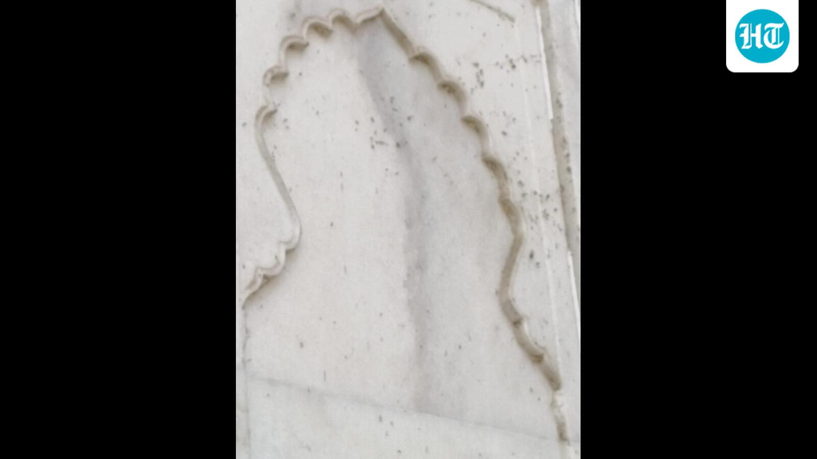 Green patches re-appear on Taj Mahal walls, ASI on alert