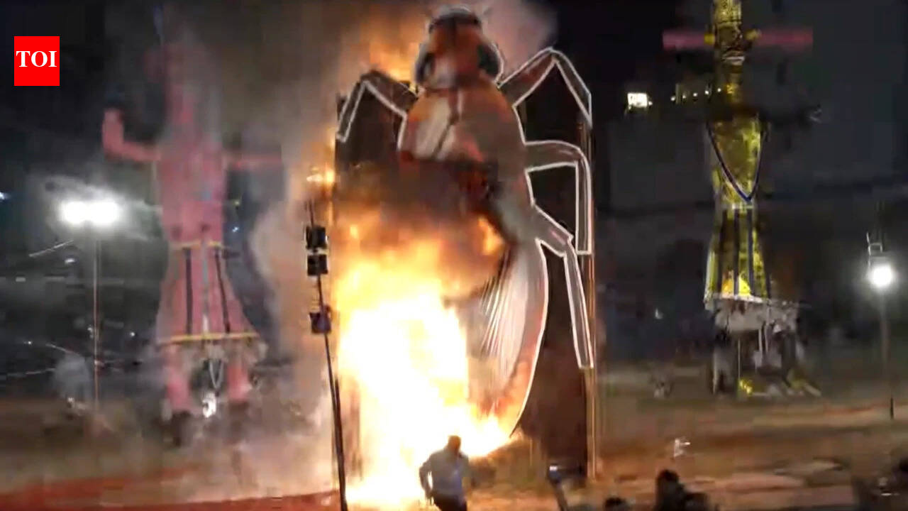 Delhi BJP leader burns cockroach effigy; Dipke responds with SRK’s 'Swades' song