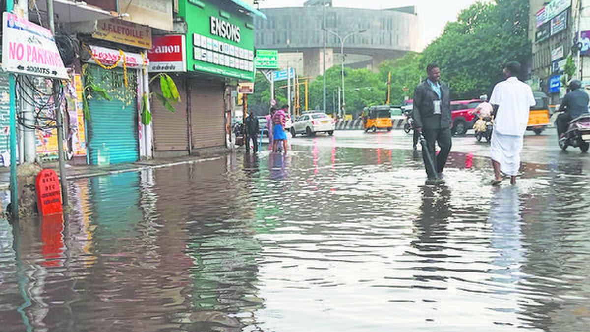 Schools closed in five Tamil Nadu districts after overnight rain