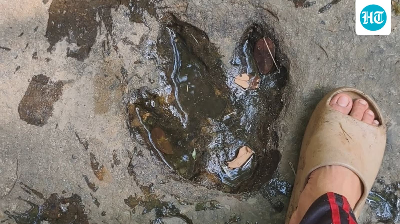 Tourist’s photo leads to discovery of 120-million-year-old dinosaur footprints in Thailand