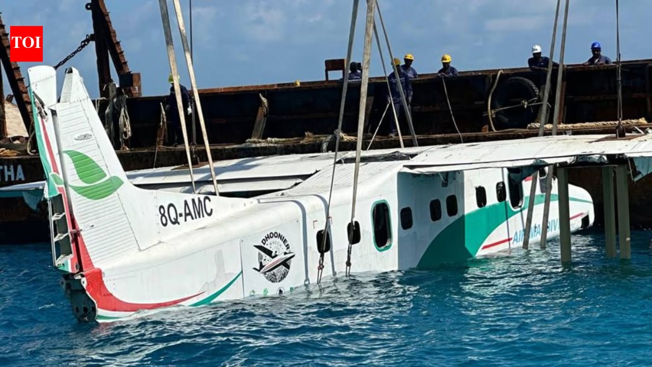 Maldives begins planting coral on 2 submerged planes to build artificial reef