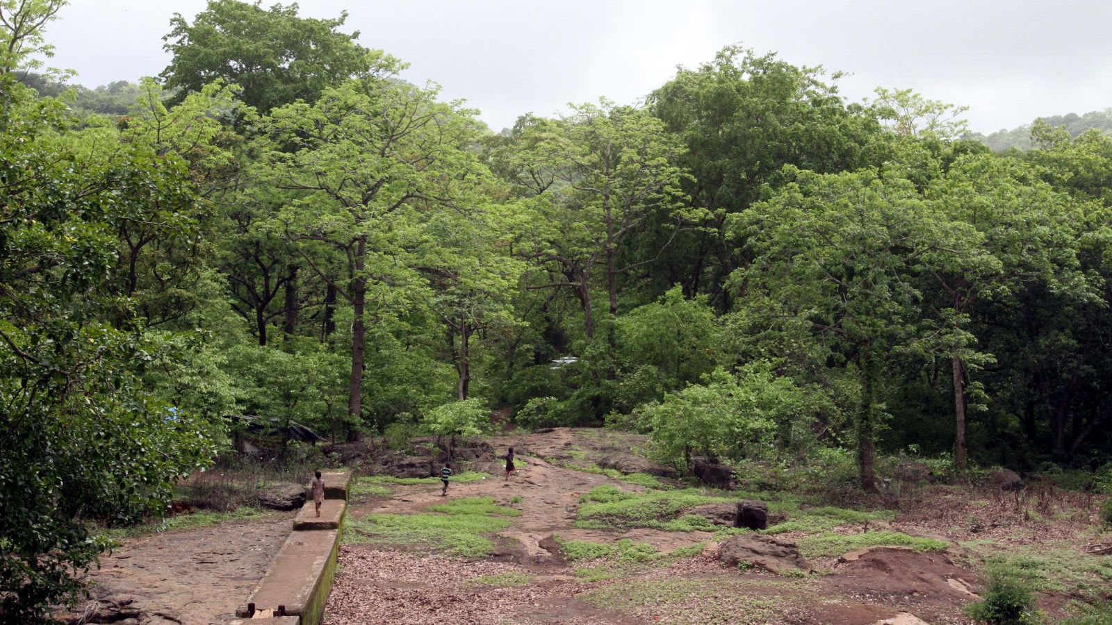 Hunting trip gone wrong? Man’s death at Mumbai national park, where poaching remains a threat