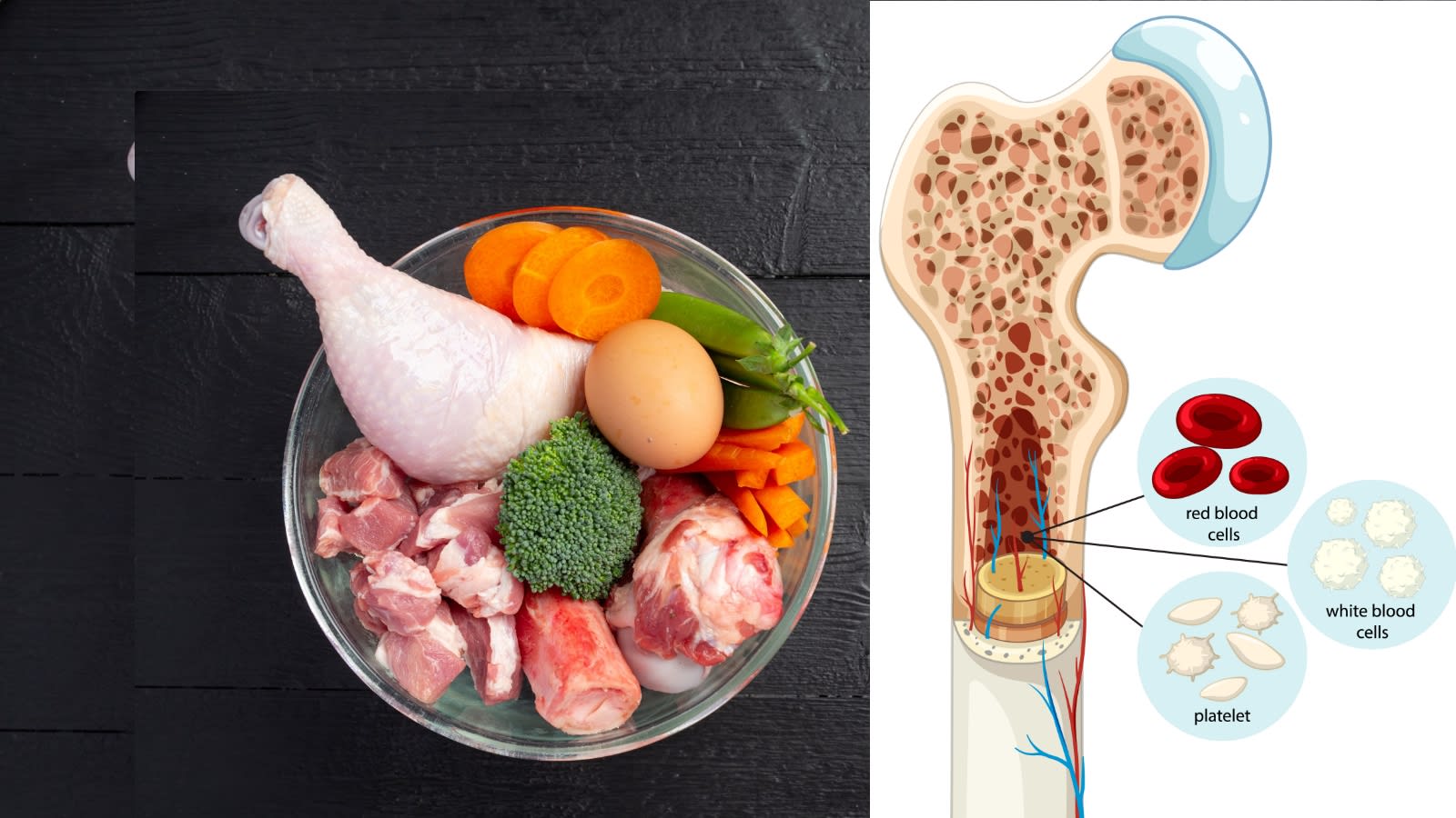 What protein means for your bone health