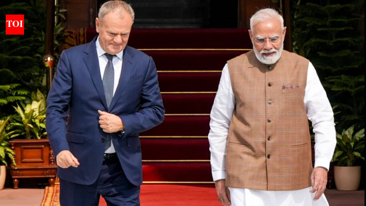 Will back all meaningful efforts for Ukraine peace, PM Modi assures Poland's Tusk