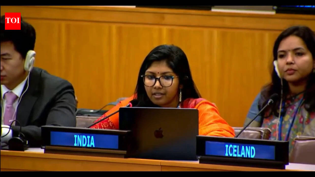 Kargil, minorities and Kashmir: India's three-pronged message to Pakistan at UN