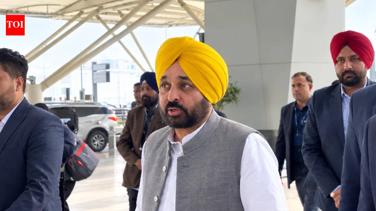 'Head of customs brother of CEC': Punjab CM's big claim after airport 'detention'