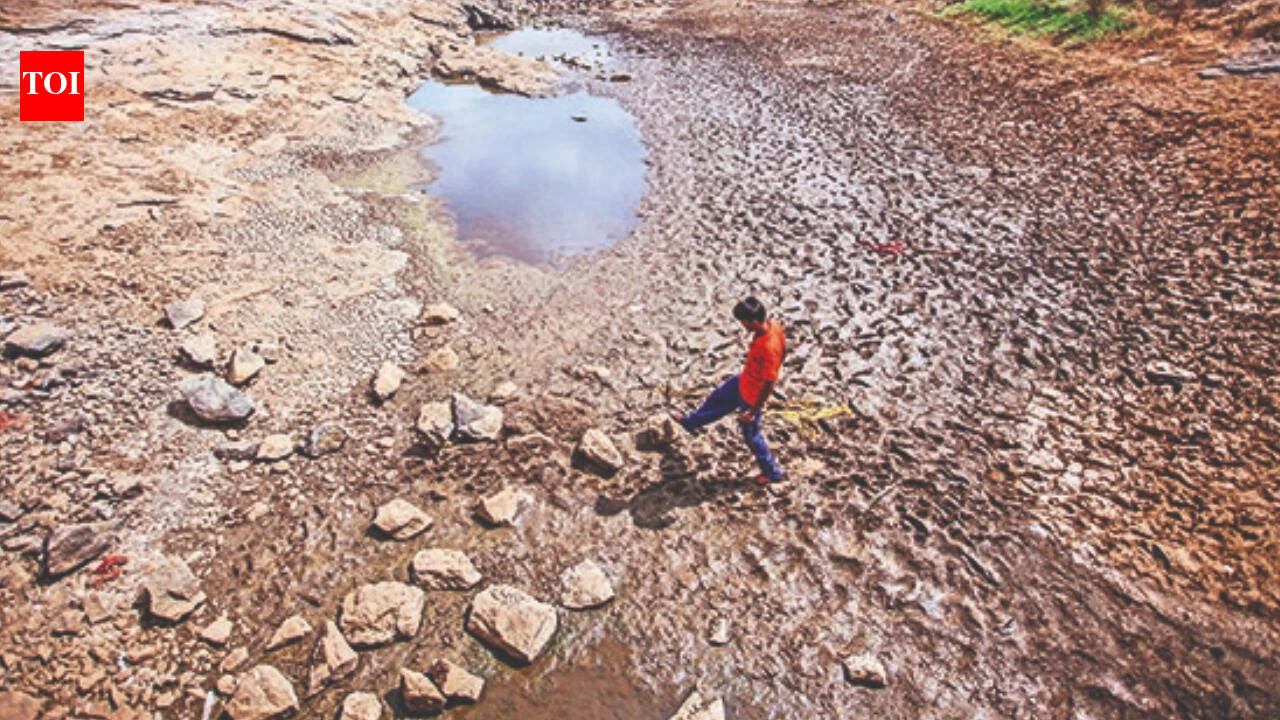 Northwest India turned drier, south wetter over 70 years, finds IMD study