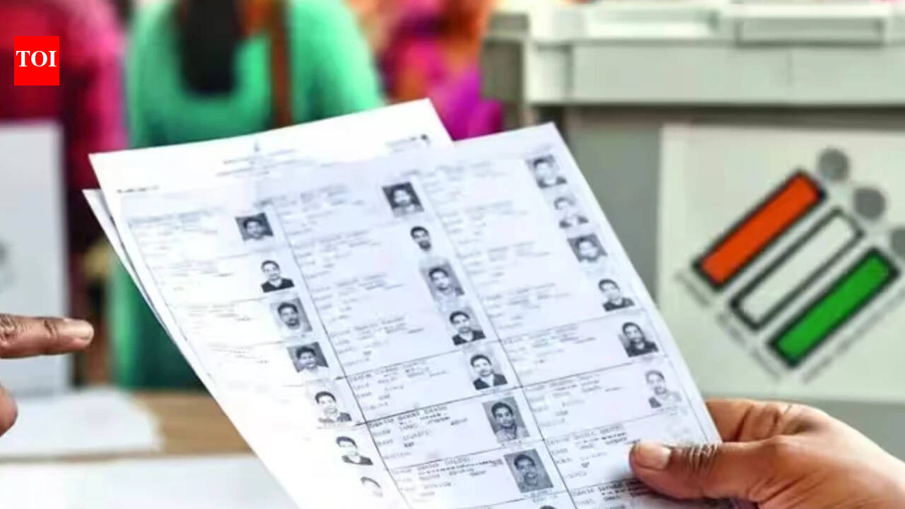 13k Pilibhit voter details changed, UP CEO calls it a ‘deliberate crime’