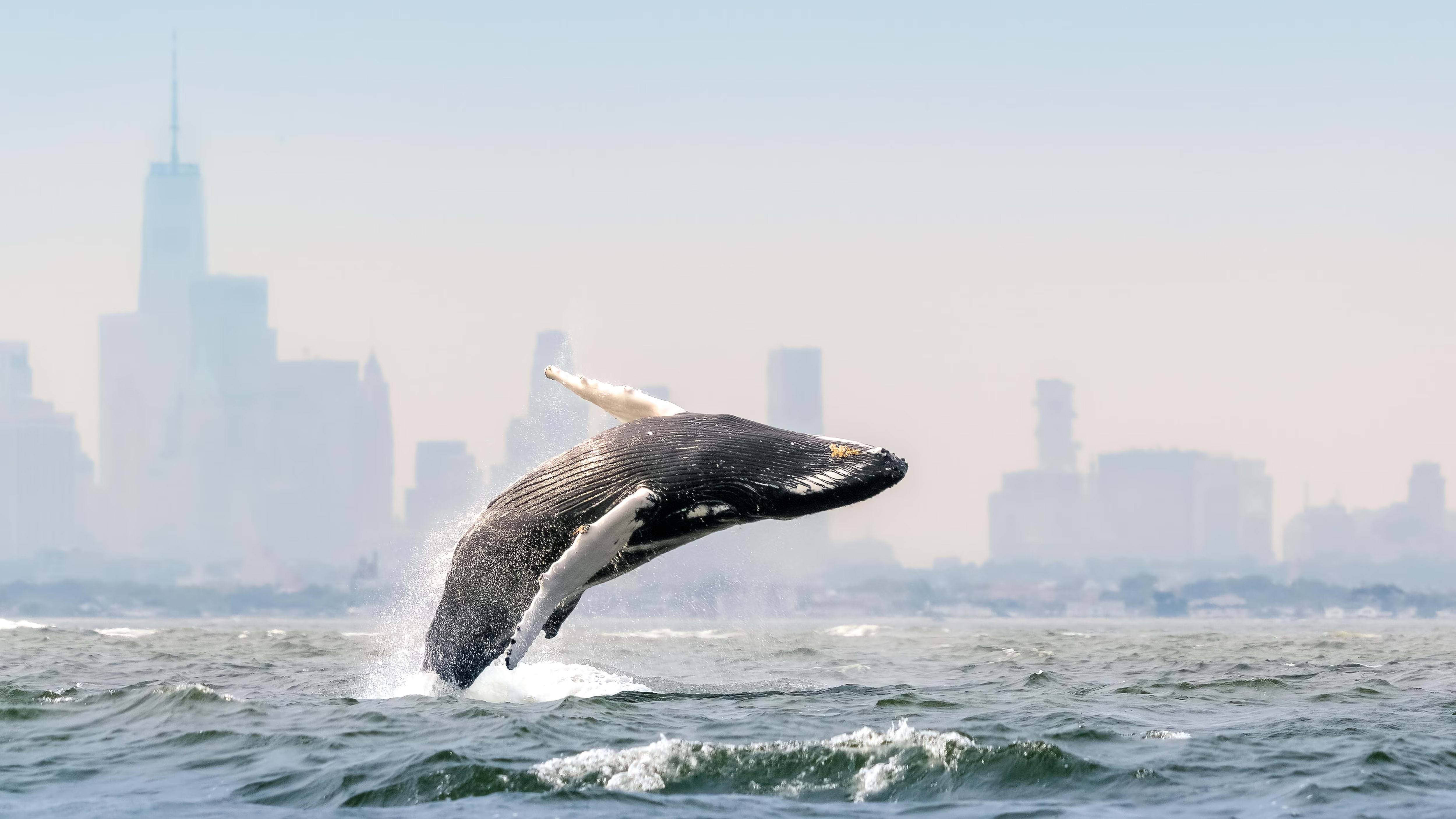 Blue Planet III is keeping the rough edges in the age of AI