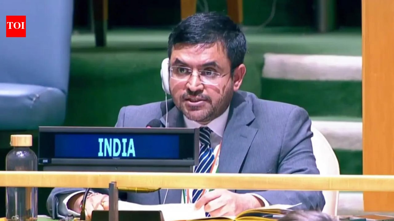 ‘Prioritise welfare over military directives’: India raps Pak on minority rights