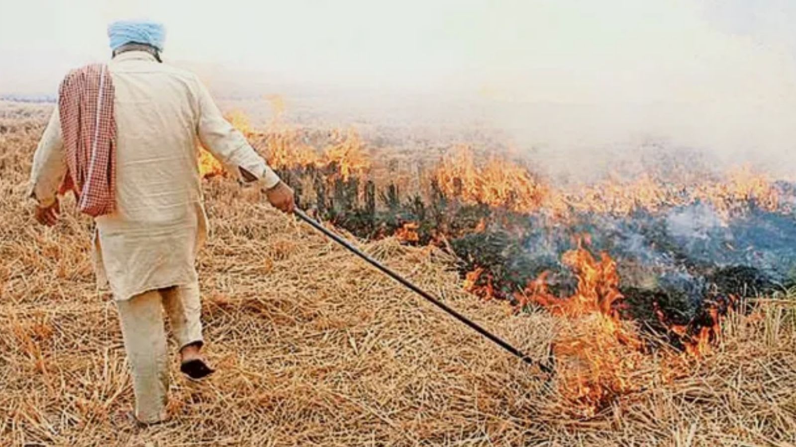 Punjab farm fires rise marginally to 574, still 66% below 2024 level