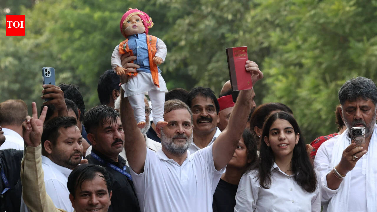 'Thanks BJP for promoting': Rahul takes swipe at govt over Nov 1 rally in Delhi