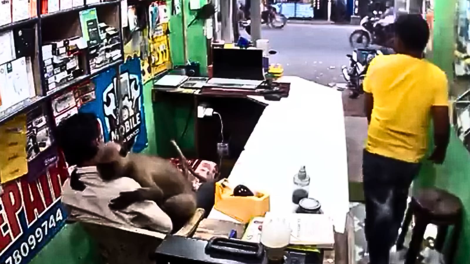 Langur enters shop, hugs the shopkeeper in heartwarming footage, watch