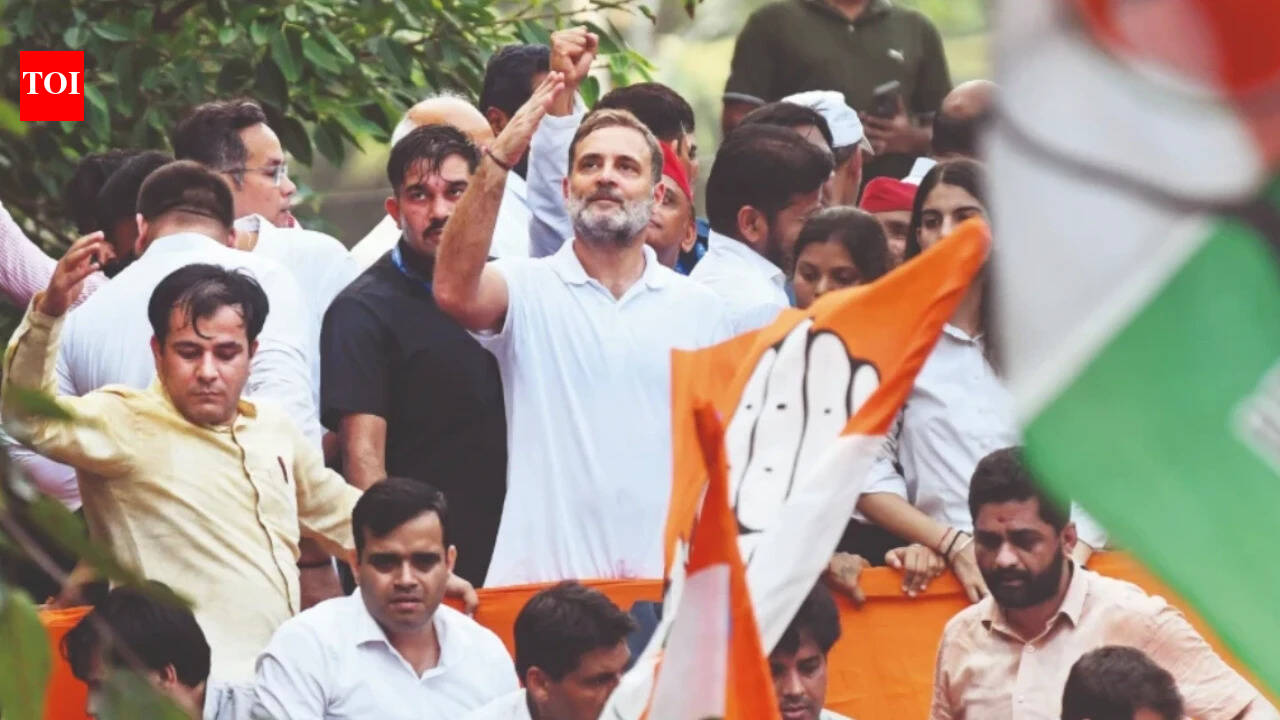 10L people, Rs 10k cr loss: Why traders' body want Rahul's Nov 1 rally postponed