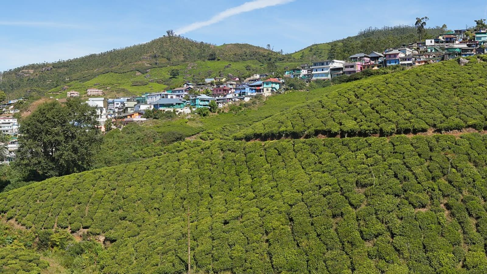 I am from UP. In Kerala, I felt like I belonged