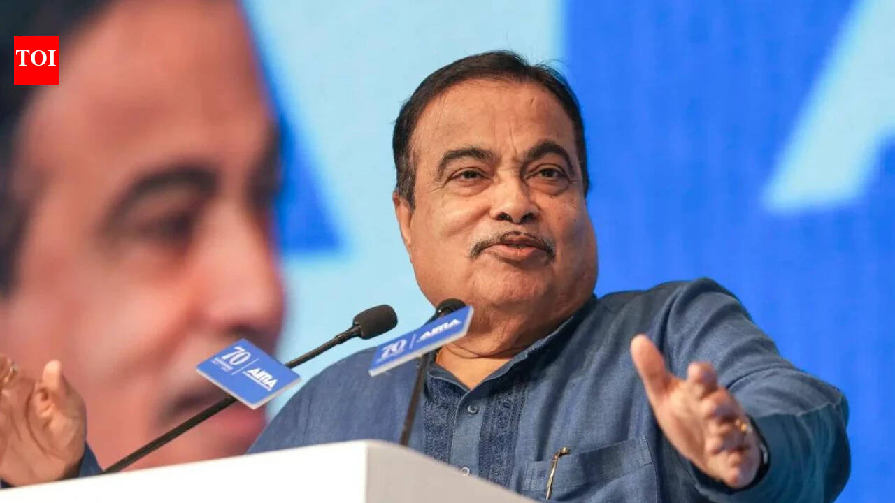 'Propaganda against E20 was a paid campaign': Gadkari as govt paves way for E100 fuel