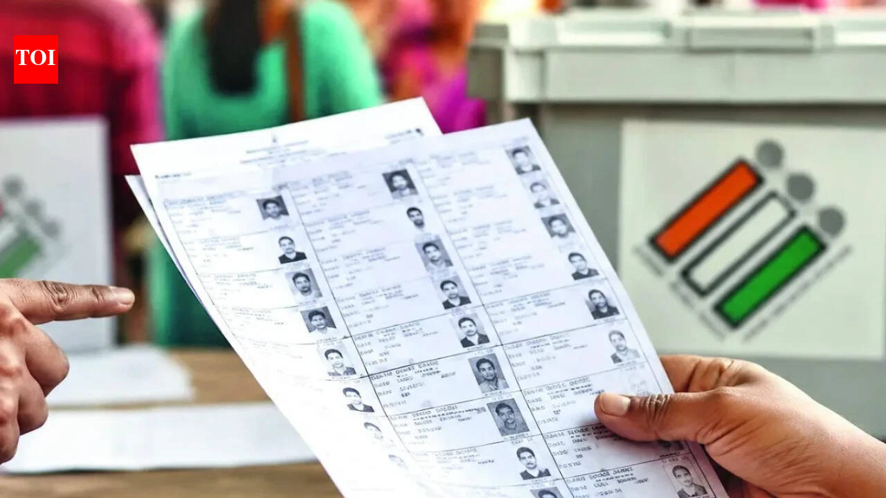 SIR final list for Karnataka is out: Check your name