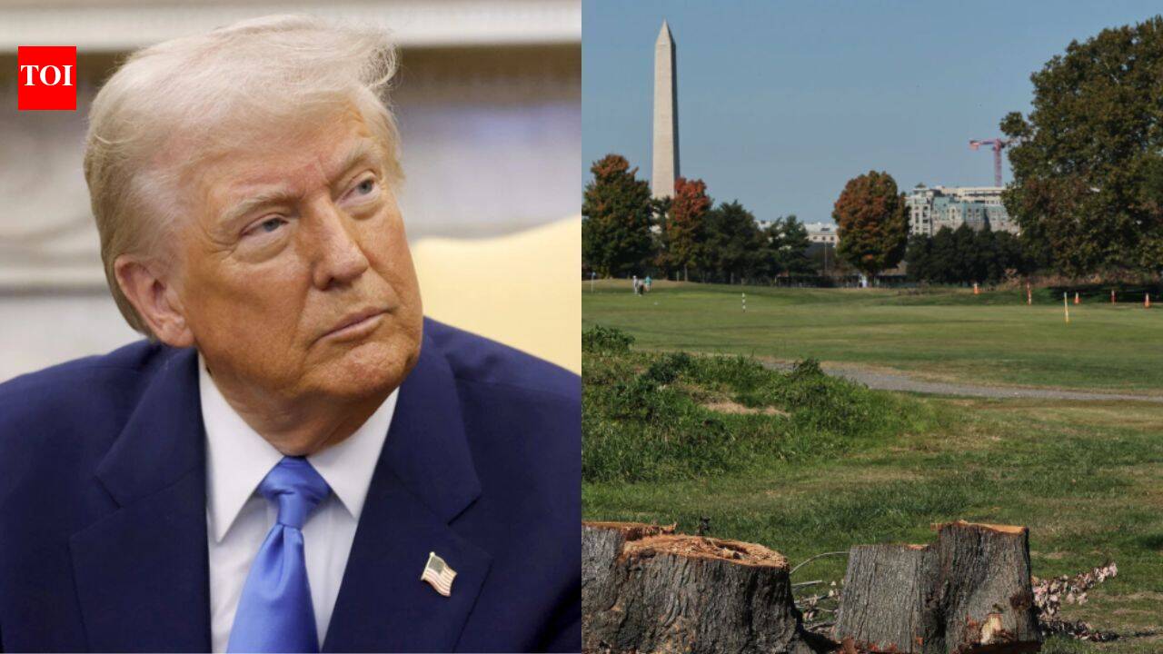 US judge extends ban on tree removal at Trump's golf course after 430 cut