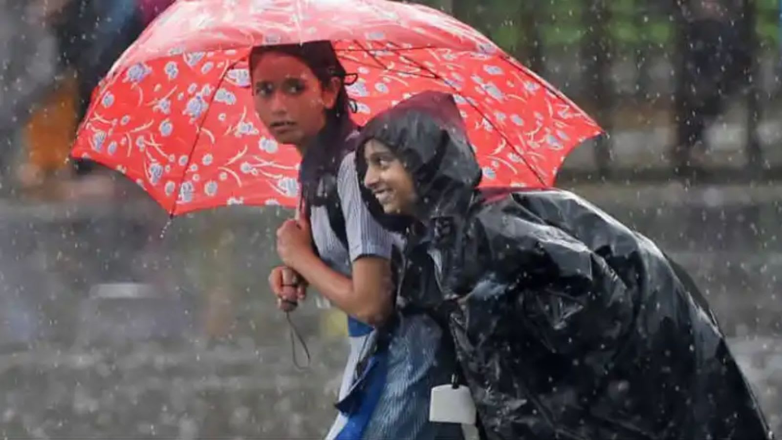 Schools in eight Odisha districts to remain closed on October 28