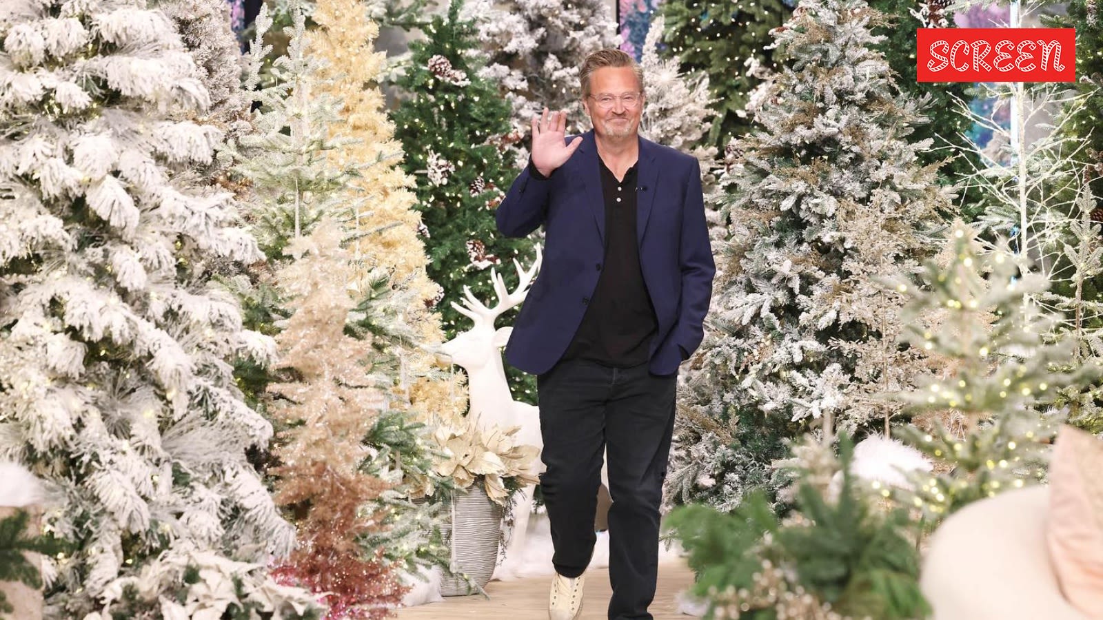 Matthew Perry was in coma in 2018, given 2% survival chance: ‘He closed his eyes and cried’