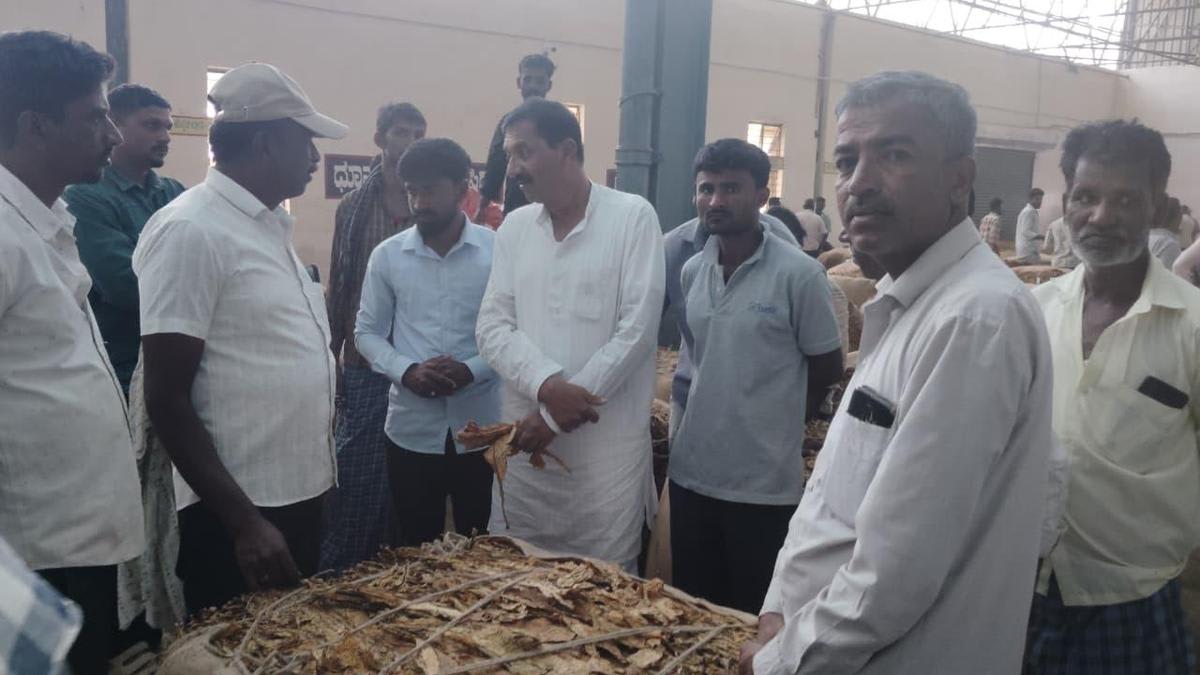 Congress leader calls for a  minimum of ₹300 per kg of tobacco