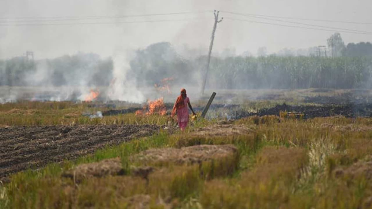 Delhi Government May Hike Agricultural Land Circle Rates After 18 Years