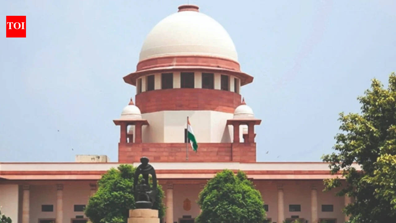 Government working on bill to curb child & revenge porn: Solicitor general in SC