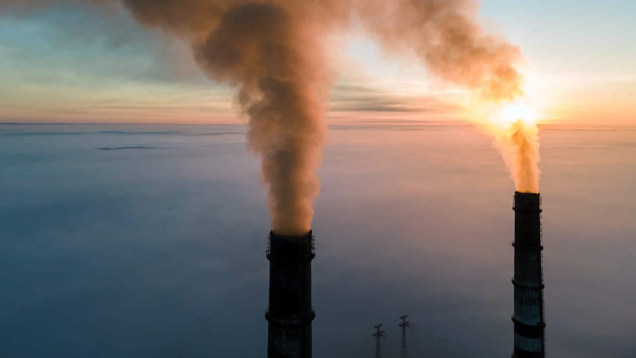 Climate Change Must Be Declared "Global Health Emergency": Report