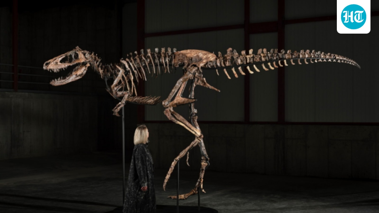 Nanotyrannus: Rare dinosaur skeleton shatters estimates with $47.3 million sale in New York