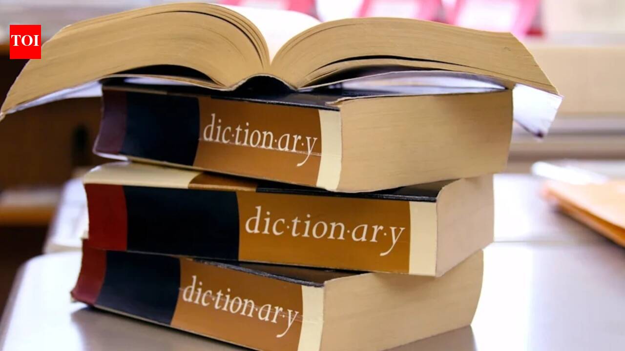 ‘Maxxing’ becomes Dictionary.com’s 2026 Word of the Year