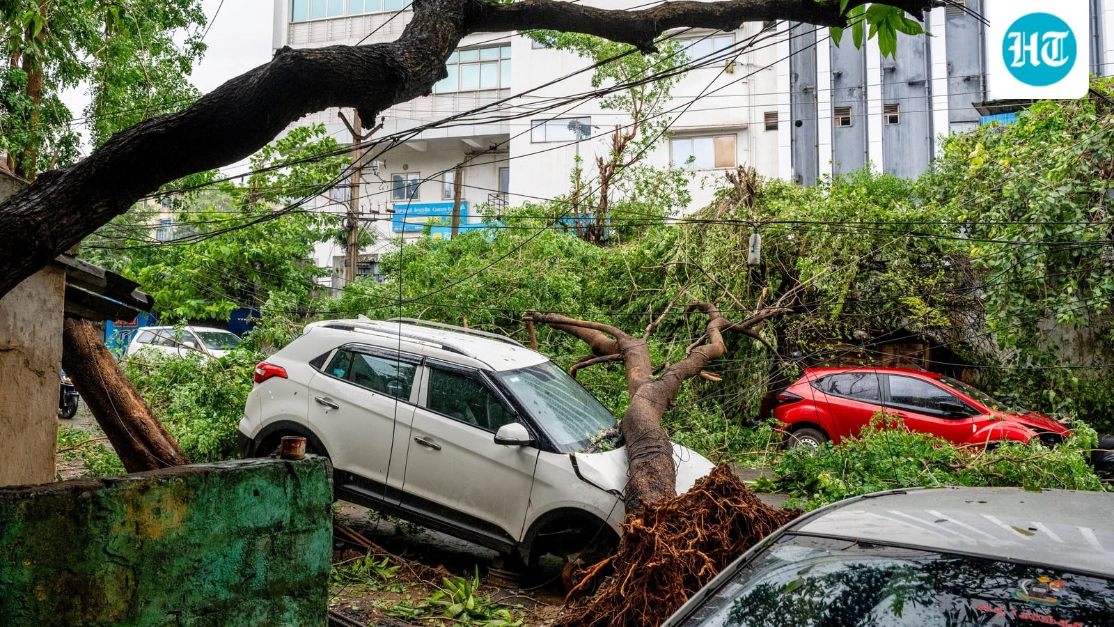 Cyclone Arnab kills 5, damages crops and infrastructure in Andhra Pradesh; CM Naidu announces relief