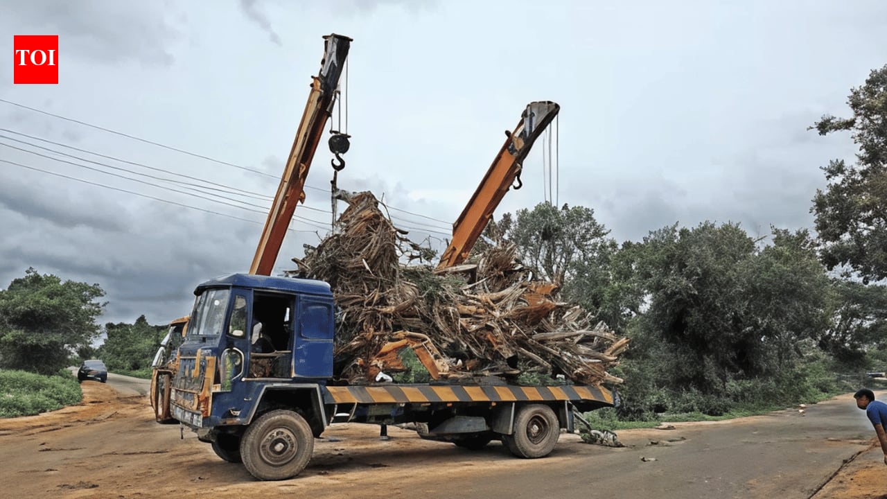 Hyderabad developer relocates 800 mango trees for road instead of cutting them