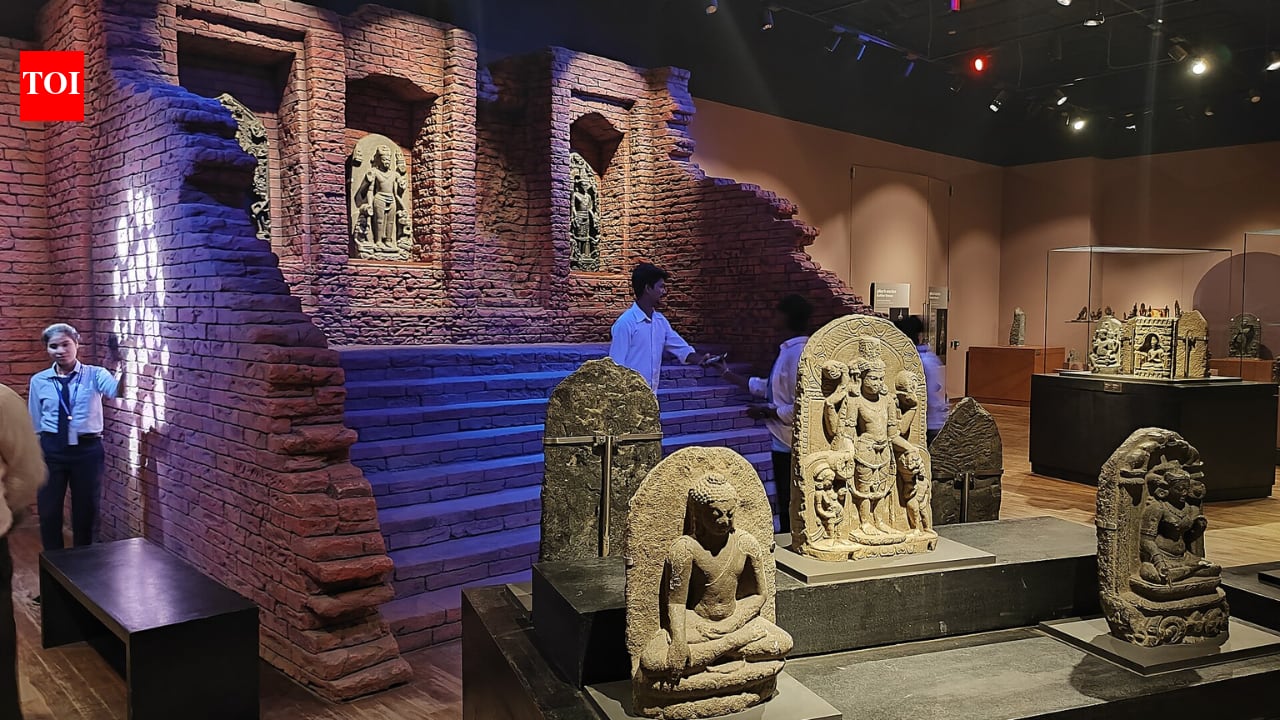 Bihar Museum in world top 10, ahead of Met, Louvre