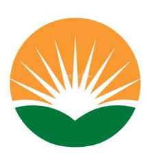 Rising Medicare logo