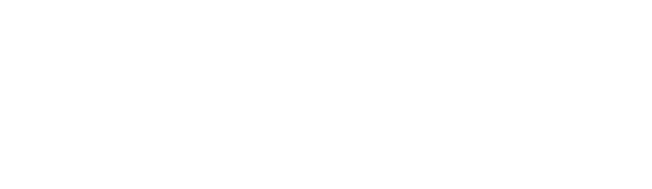 Satguru Overseas Education logo