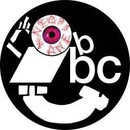 qui trovi la mia musica
