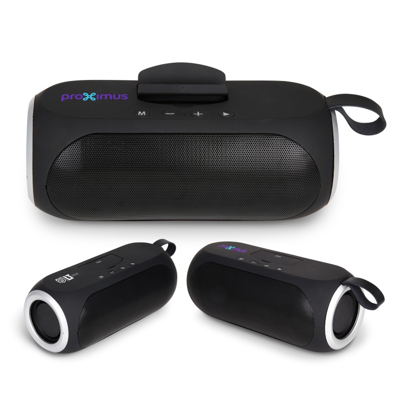 R-61 Wireless Bluetooth Speaker